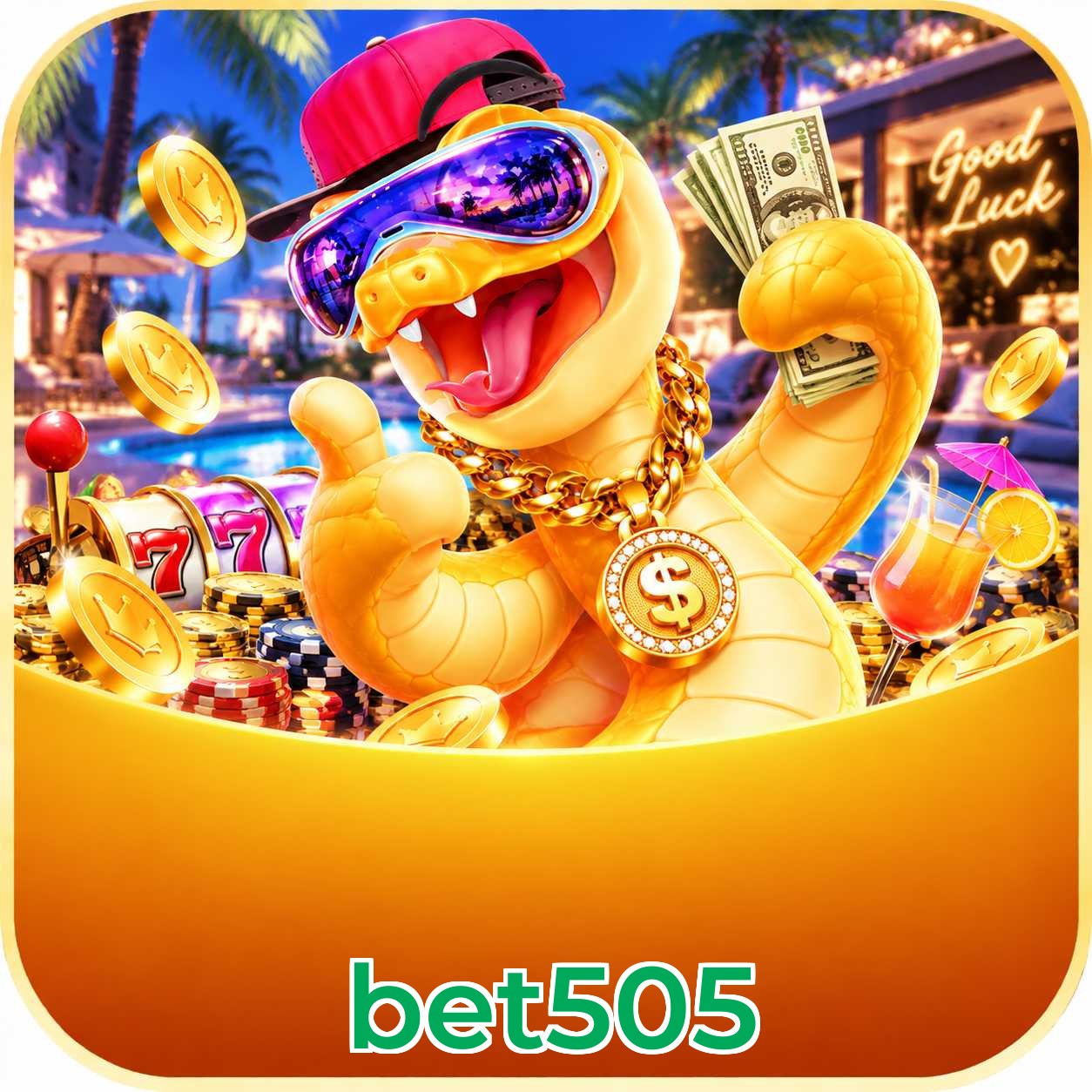 bet505 Suporte